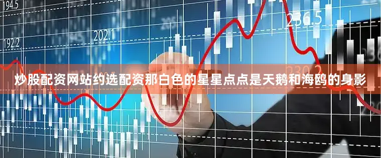 炒股配资网站约选配资那白色的星星点点是天鹅和海鸥的身影