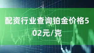 配资行业查询铂金价格502元/克