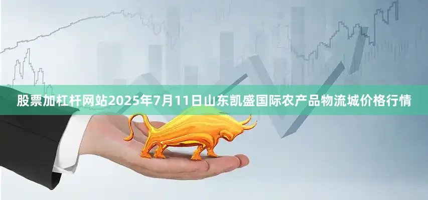 股票加杠杆网站2025年7月11日山东凯盛国际农产品物流城价格行情