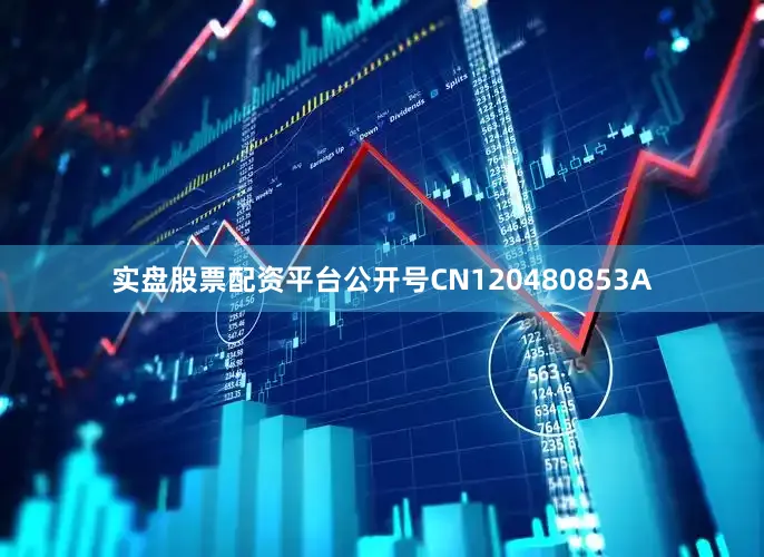 实盘股票配资平台公开号CN120480853A
