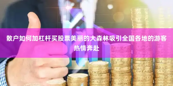 散户如何加杠杆买股票美丽的大森林吸引全国各地的游客热情奔赴
